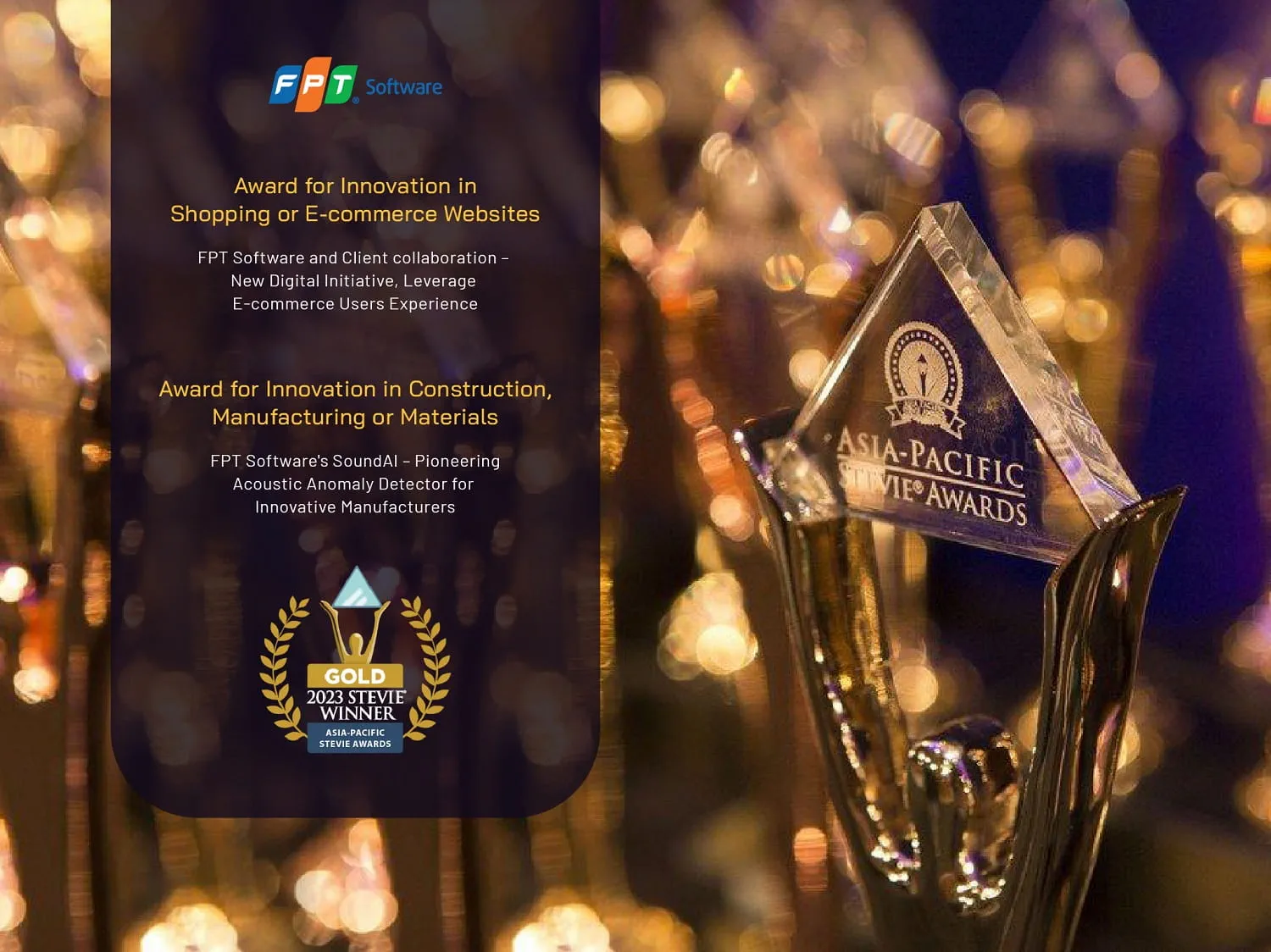 With two Gold awards, FPT was in a limited group of companies in the Press Release of the award organizers.